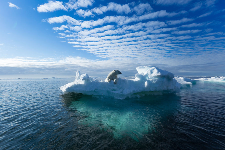 How Climate Change Impact Malaysia’s Cold Chain Industry How Climate Change Impact Malaysia’s Cold Chain Industry
